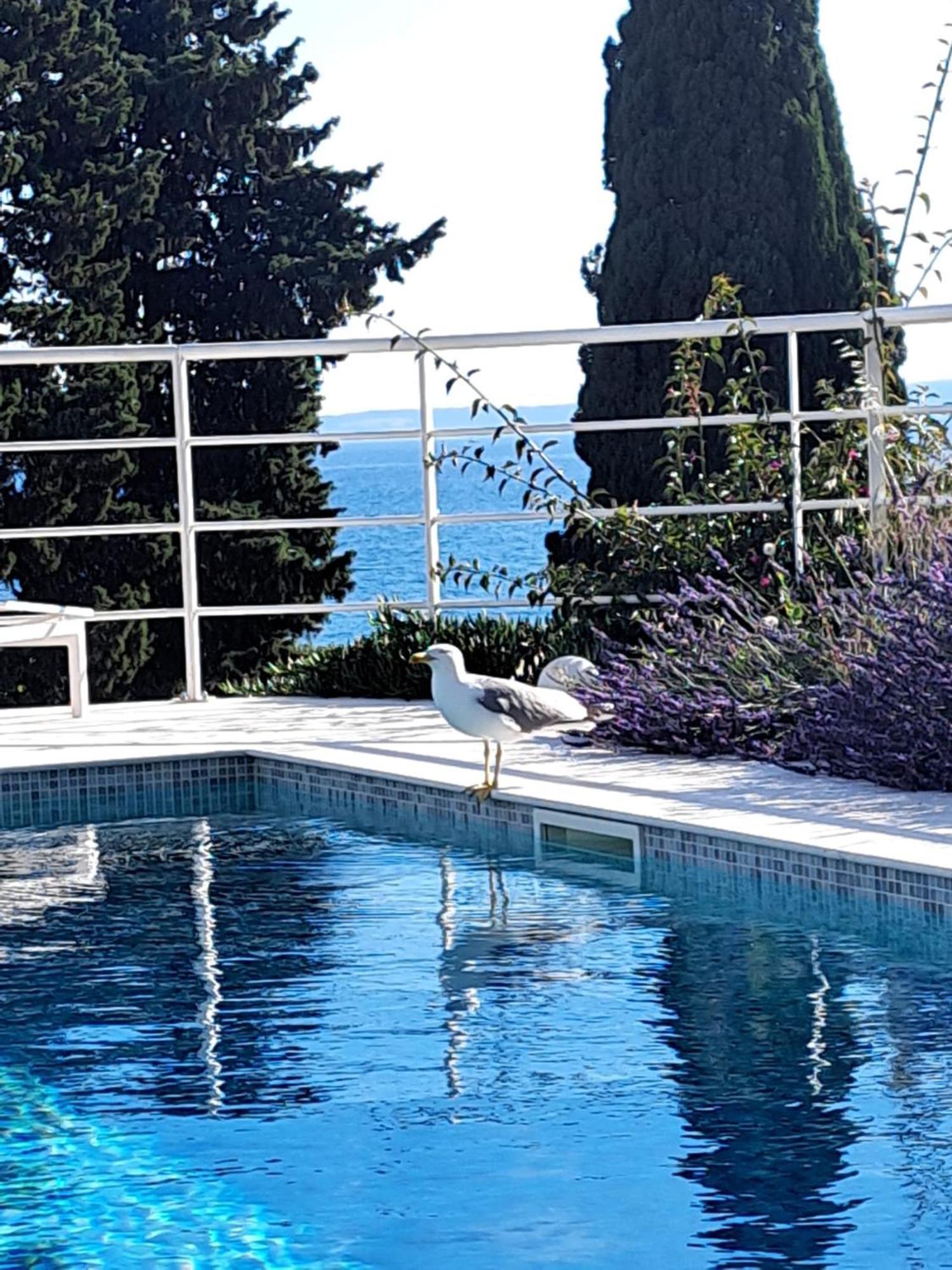 Apartment With Private Pool Split Zewnętrze zdjęcie